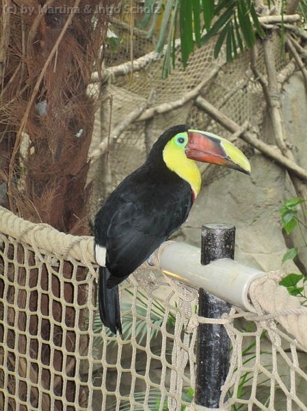 IMG_1921.jpg