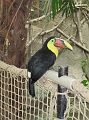 IMG_1921