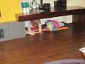 IMG_1942