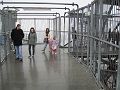 IMG_2058